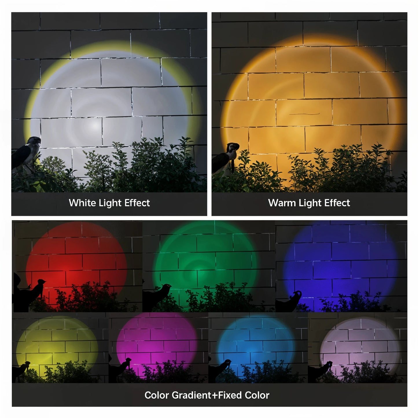 SolarFlare - 9 LED Solar Spot Lights - Dena Home