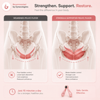 Flexora Pelvic Floor Trainer - Dena Home