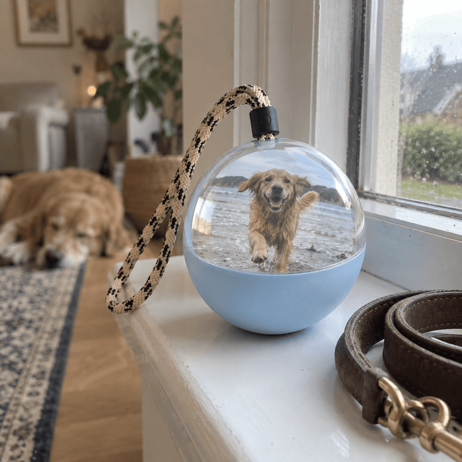 Memora™ – Video Memory Globe - Dena Home