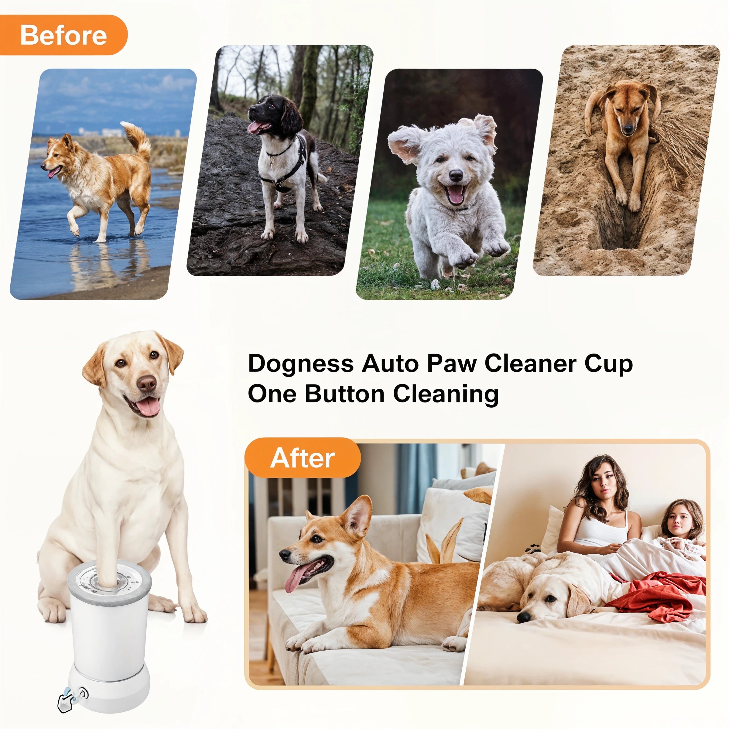 PetWashPro - Automatic Paw Cleaner - Dena Home