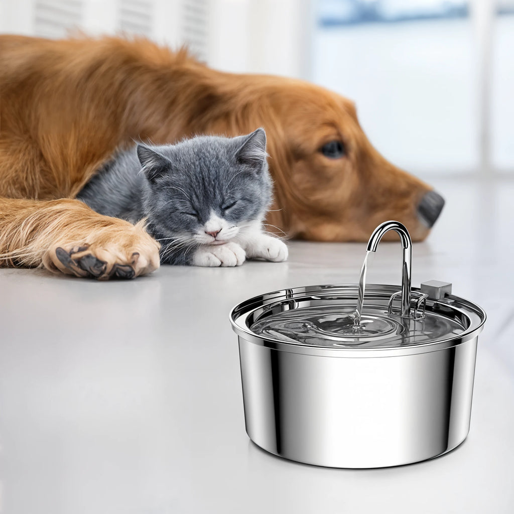 PetStream - Stainless Steel Smart Water Fountain - Dena Home