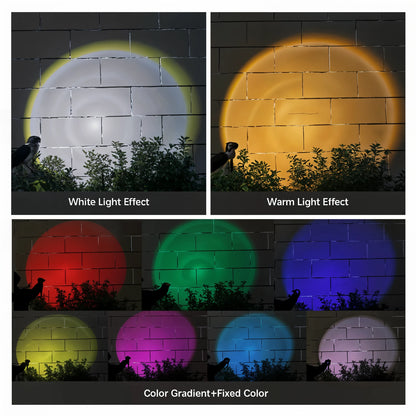 SolarFlare - 9 LED Solar Spot Lights - Dena Home